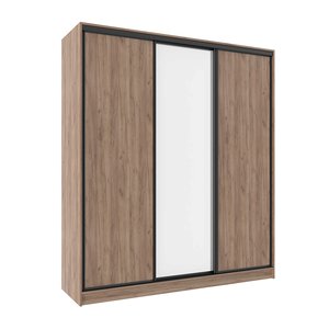 Шкаф-купе Домашний 3-х дверный Шкаф-купе Домашний 3-х дверный